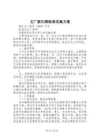 2024年文广新扫黑除恶实施方案