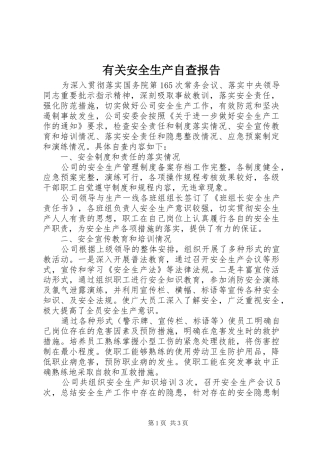 2024年有关安全生产自查报告