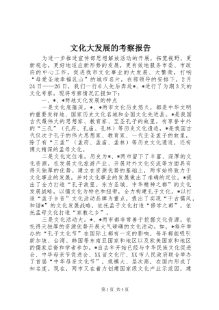 2024年文化大发展的考察报告