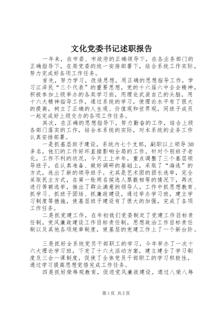 2024年文化党委书记述职报告