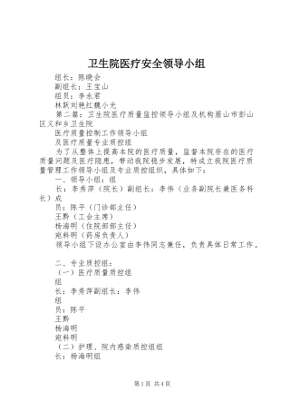 2024年卫生院医疗安全领导小组