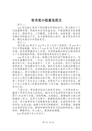 2024年有关党小组意见范文