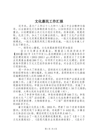 2024年文化惠民工作汇报