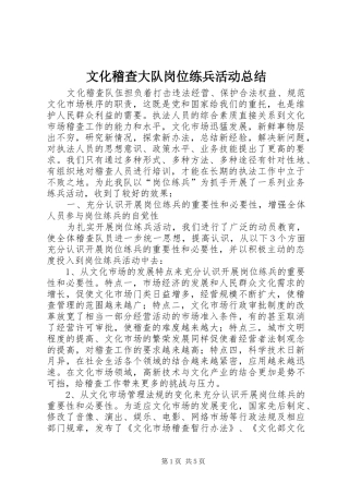 2024年文化稽查大队岗位练兵活动总结