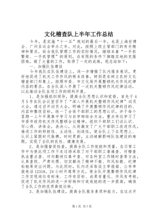 2024年文化稽查队上半年工作总结