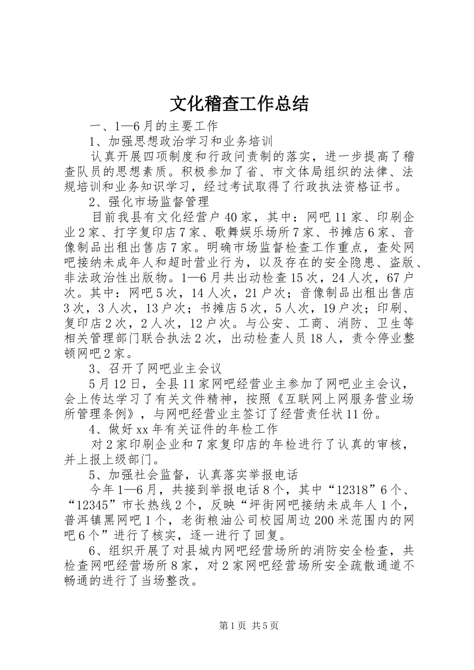 2024年文化稽查工作总结_第1页