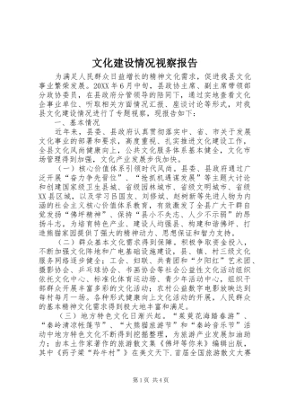 2024年文化建设情况视察报告