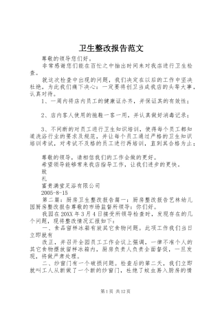2024年卫生整改报告范文