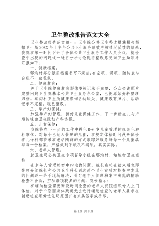 2024年卫生整改报告范文大全