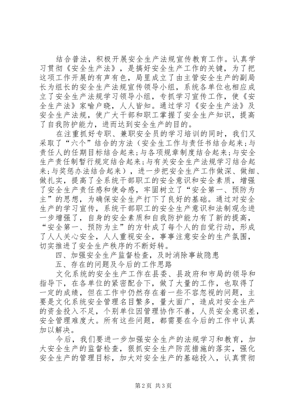 2024年文化局安全生产工作总结_第2页