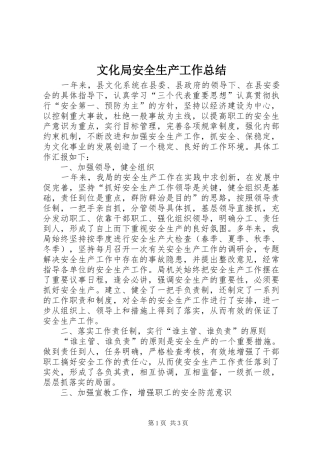 2024年文化局安全生产工作总结