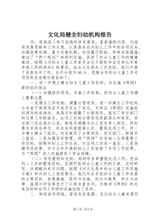 2024年文化局健全妇幼机构报告