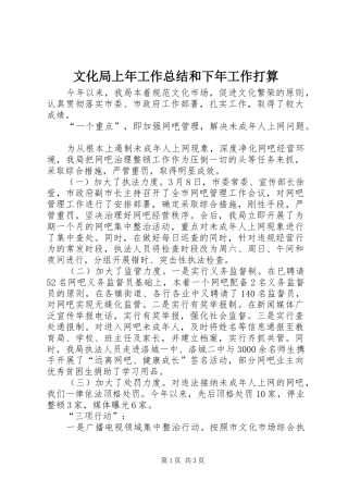 2024年文化局上年工作总结和下年工作打算