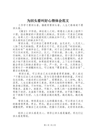 2024年为回头看叫好心得体会范文