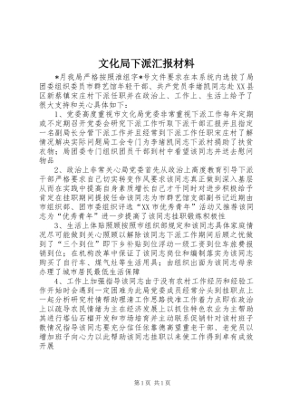 2024年文化局下派汇报材料