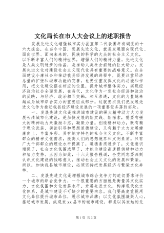 2024年文化局长在市人大会议上的述职报告