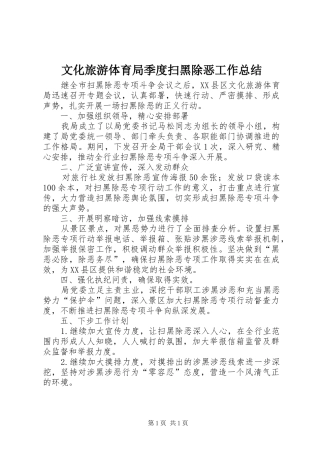 2024年文化旅游体育局季度扫黑除恶工作总结