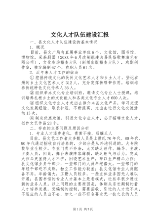 2024年文化人才队伍建设汇报