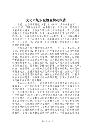 2024年文化市场安全检查情况报告