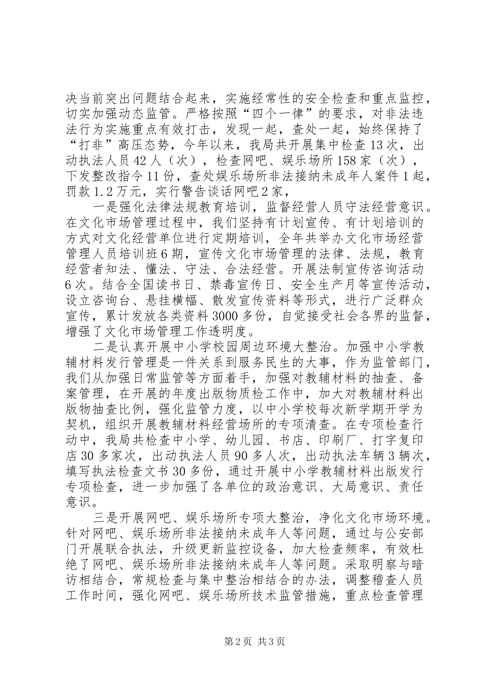 2024年文化市场安全生产工作总结_第2页