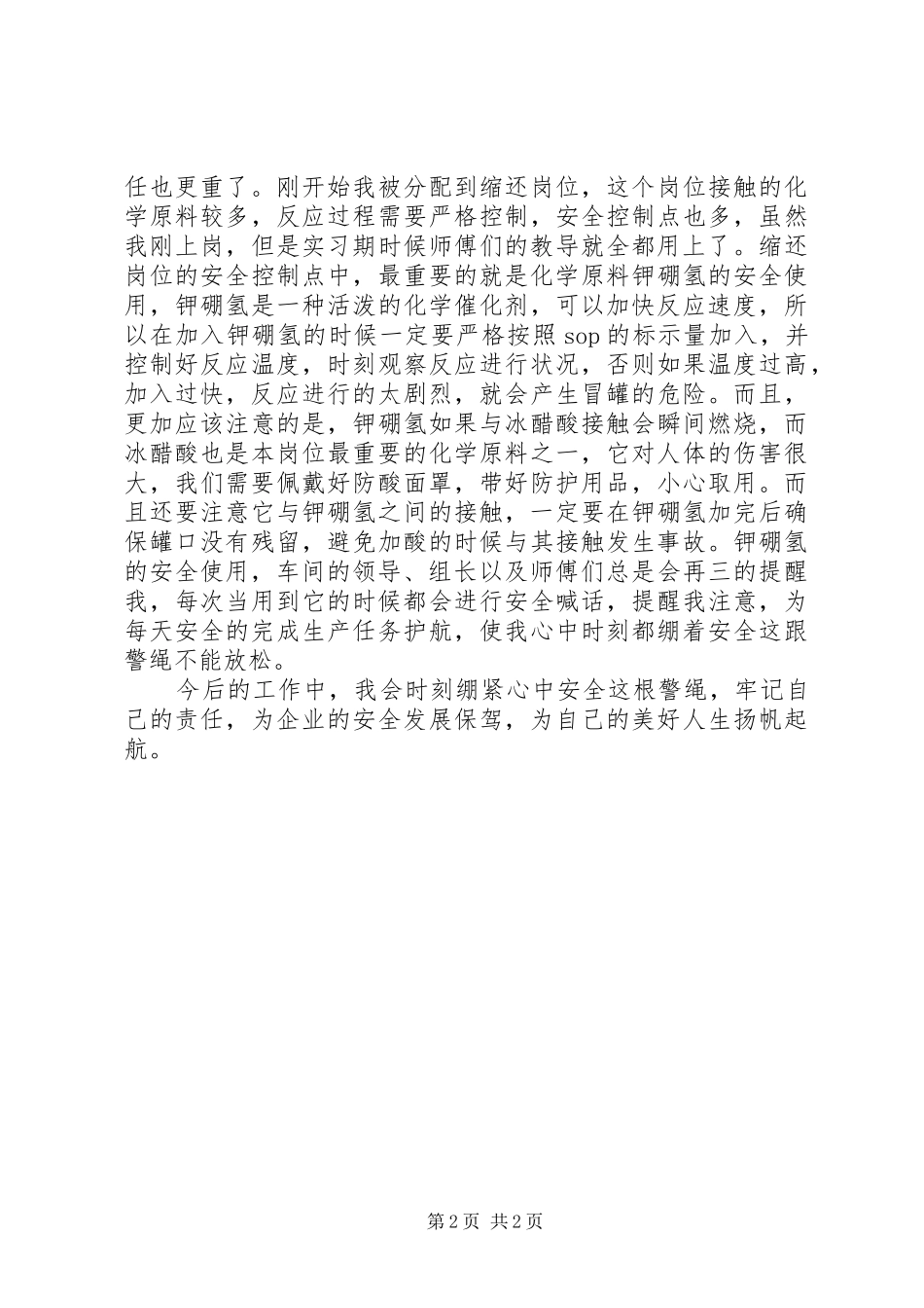 2024年为企业的安全发展保驾_第2页