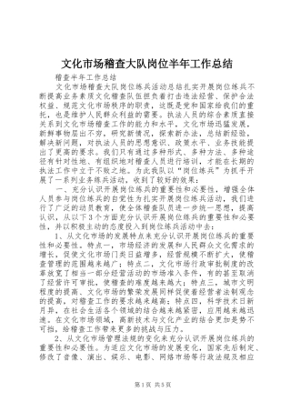 2024年文化市场稽查大队岗位半年工作总结