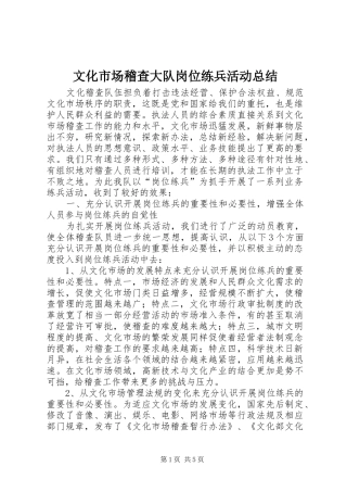 2024年文化市场稽查大队岗位练兵活动总结