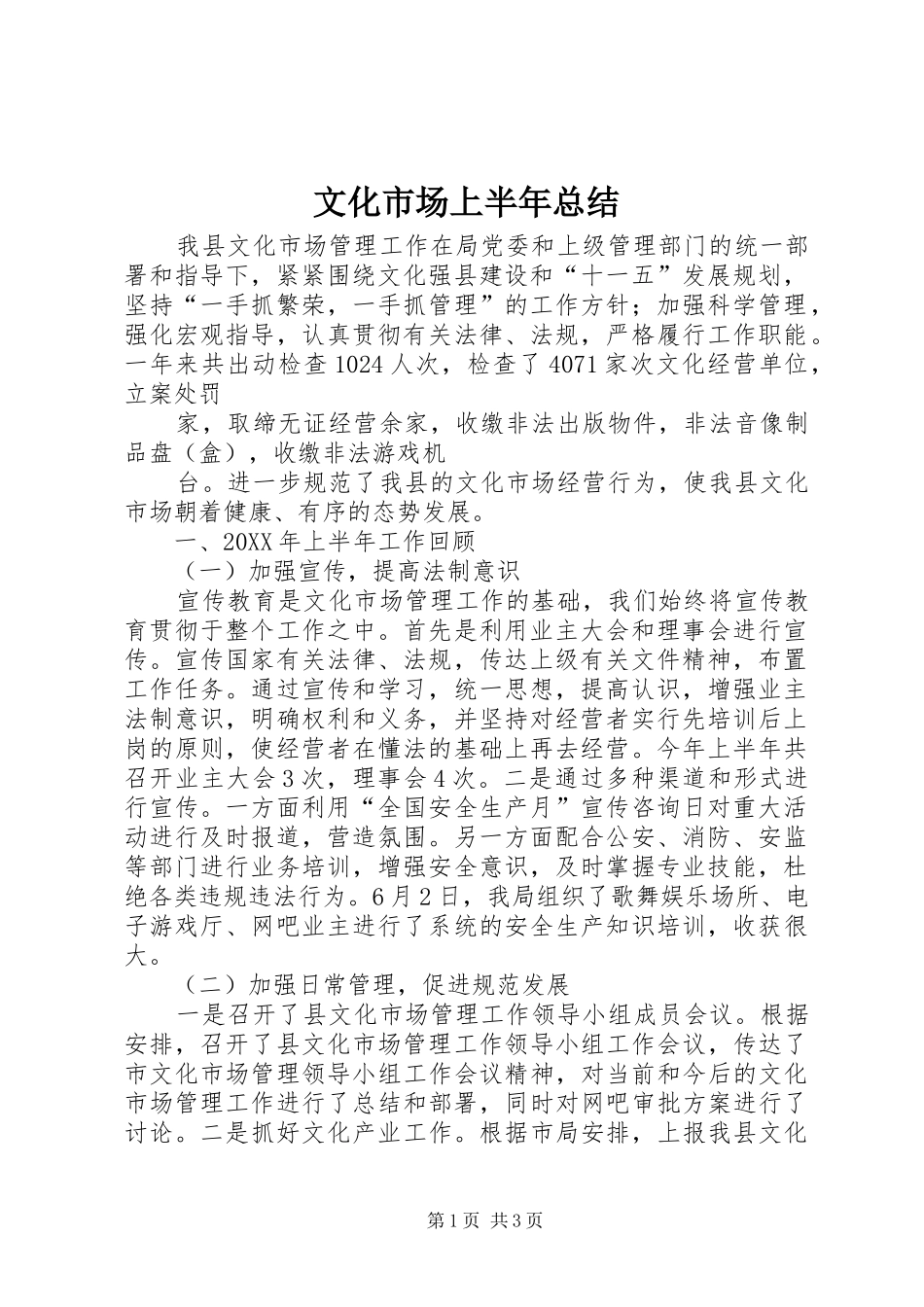 2024年文化市场上半年总结_第1页