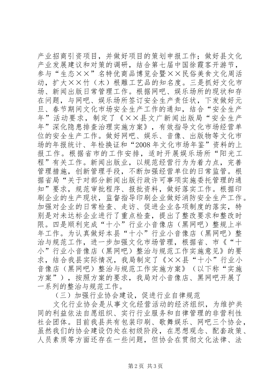 2024年文化市场上半年总结_第2页