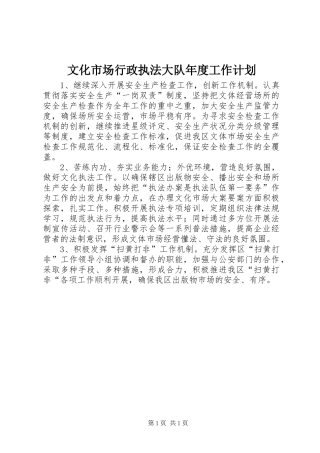 2024年文化市场行政执法大队年度工作计划