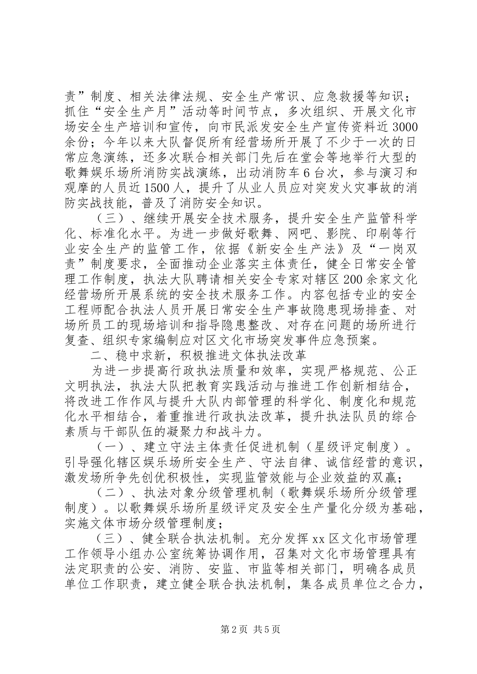 2024年文化市场行政执法大队年度工作总结_第2页