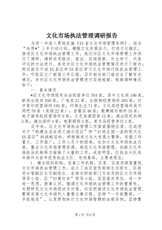 2024年文化市场执法管理调研报告