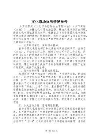 2024年文化市场执法情况报告