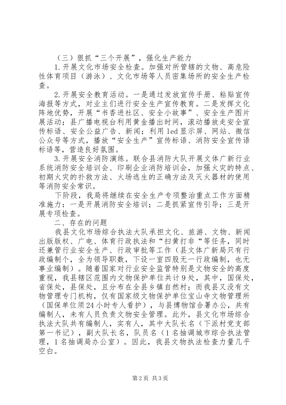 2024年文化市场综合执法大队安全生产专项整治重点工作情况汇报_第2页