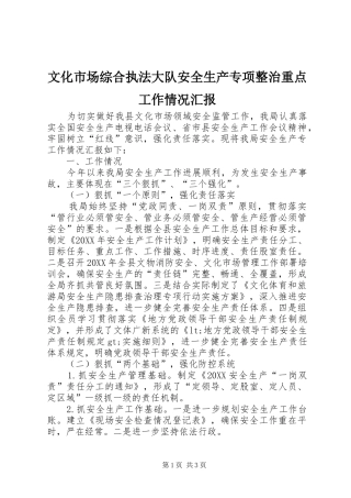 2024年文化市场综合执法大队安全生产专项整治重点工作情况汇报
