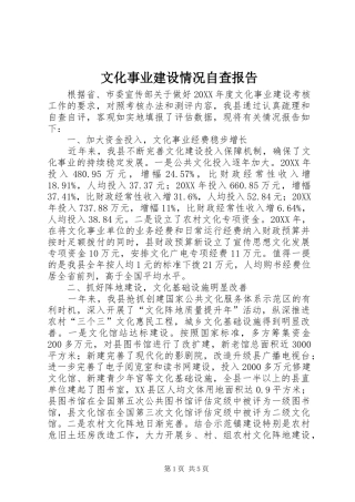 2024年文化事业建设情况自查报告