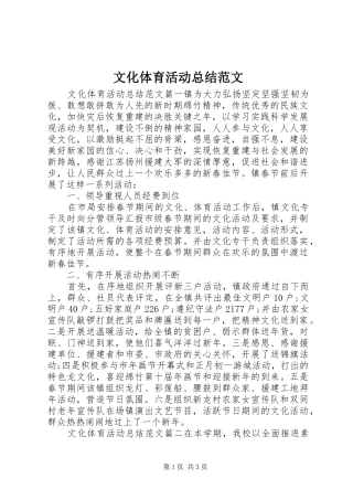 2024年文化体育活动总结范文