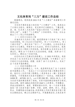 2024年文化体育局三力建设工作总结