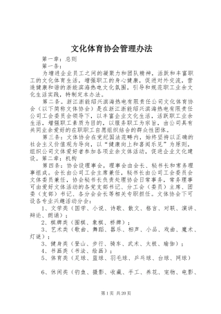 2024年文化体育协会管理办法