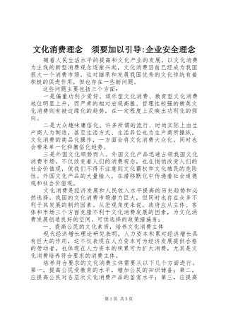 2024年文化消费理念须要加以引导企业安全理念