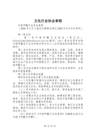 2024年文化行业协会章程