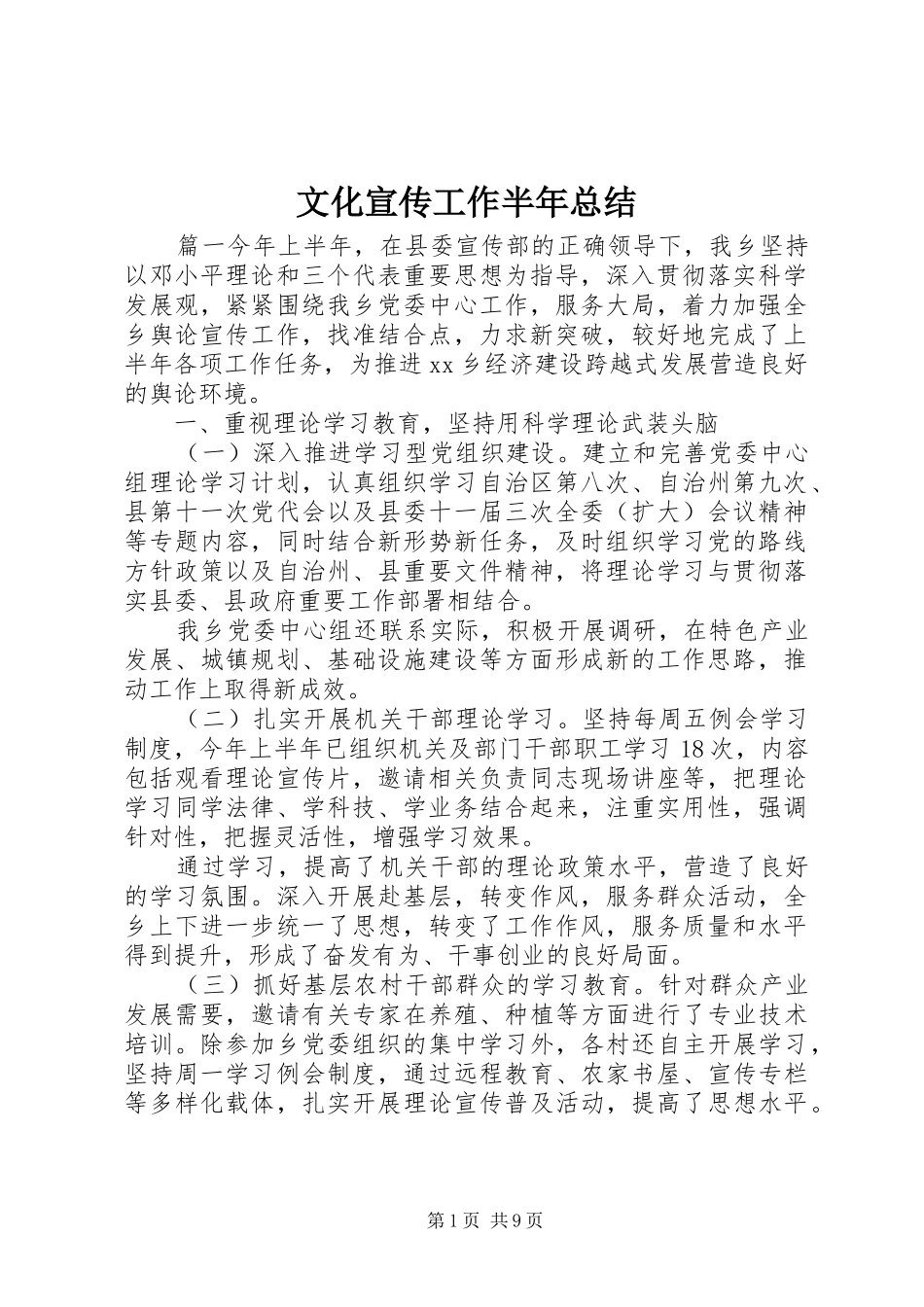 2024年文化宣传工作半年总结_第1页