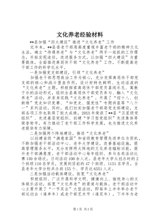 2024年文化养老经验材料