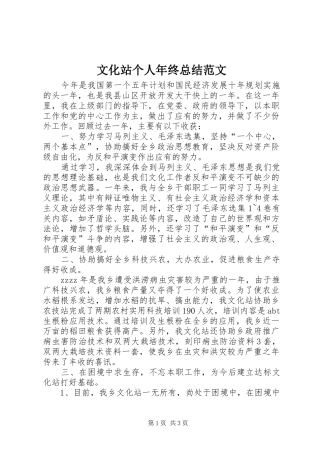 2024年文化站个人年终总结范文