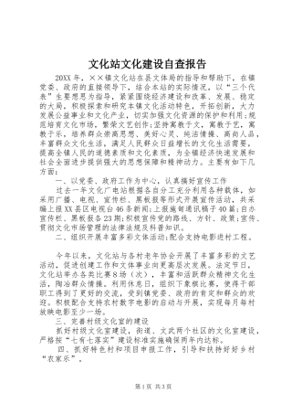 2024年文化站文化建设自查报告