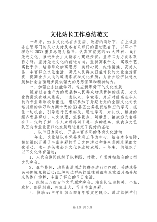 2024年文化站长工作总结范文