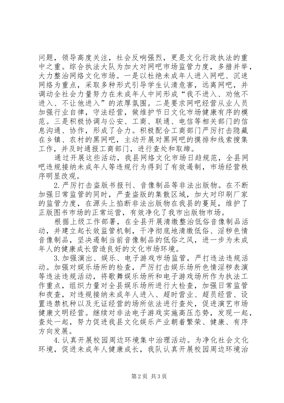 2024年文化执法大队年终工作总结_第2页