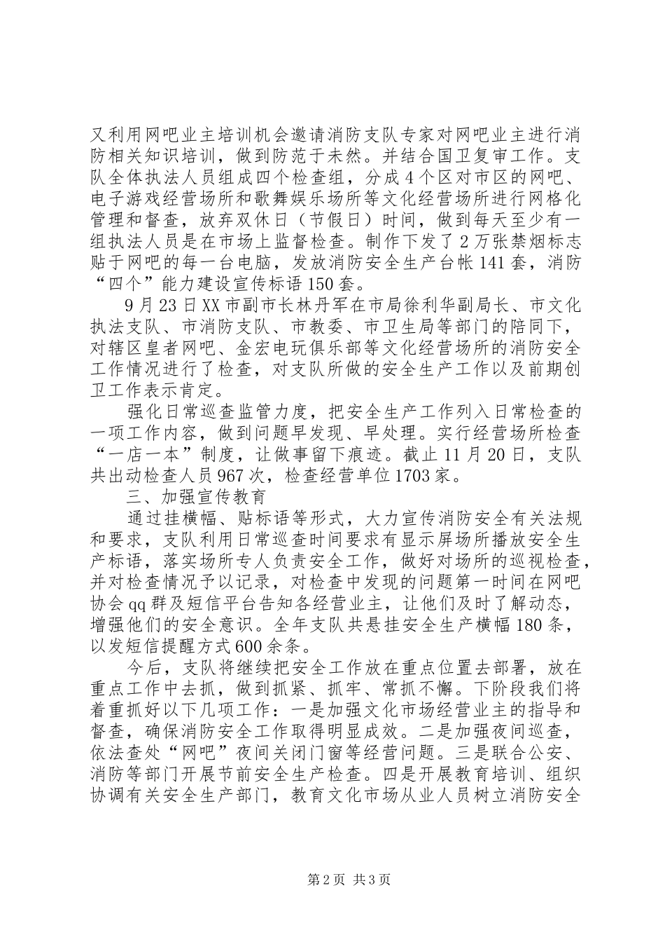 2024年文化执法队年度安全生产工作总结_第2页