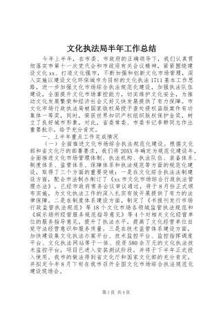 2024年文化执法局半年工作总结