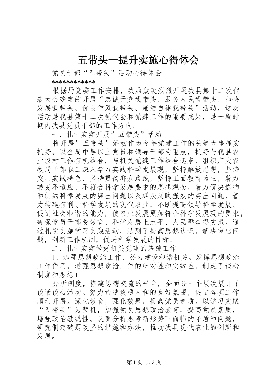 2024年五带头一提升实施心得体会_第1页
